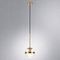 Подвесной светильник Arte Lamp Delacrua A7770SP-1PB