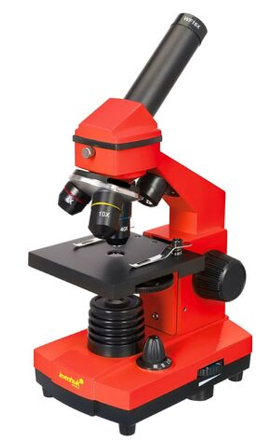 Микроскоп Levenhuk Rainbow 2L PLUS Апельсин с набором Levenhuk K50