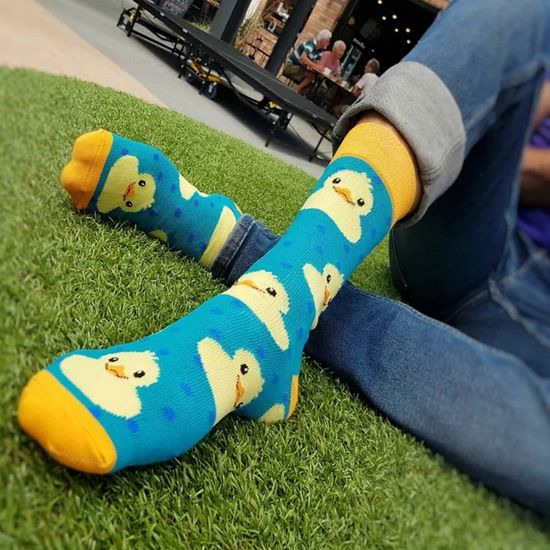 Носки "Гигантская желтая утка" Флорентин Хофман, р-р 36-42 (голубой, желтый)