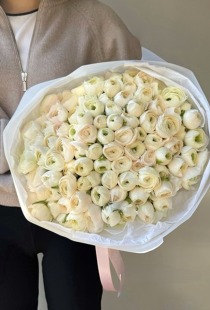 101 ранунклюс