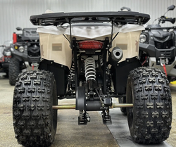 КВАДРОЦИКЛ PROMAX WILD 2.0 190