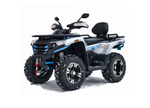 Квадроцикл MOTOLAND ATV 300 MAX X
