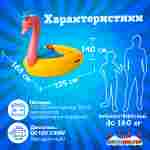 Электрическая лодка-катамаран «Лебедь» XL взрослая, 1+1