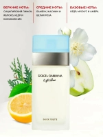 DOLCE & GABBANA туалетная вода Light Blue pour Femme, 100 мл, 100 г