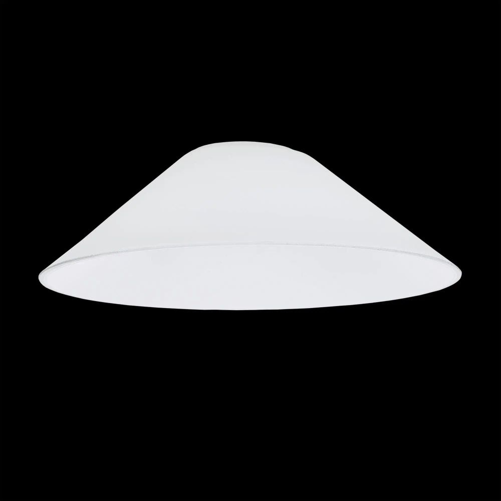 Citilux Эдисон CL450.12 Плафон