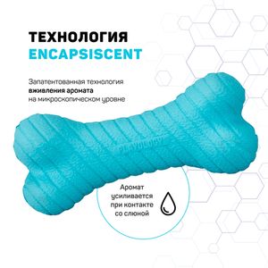 Двухслойная жевательная косточка Playology DUAL LAYER BONE для собак средних пород с ароматом арахиса, средняя, цвет голубой