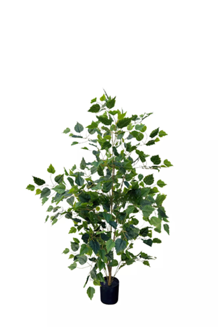 Береза 120см (тёмный ствол)