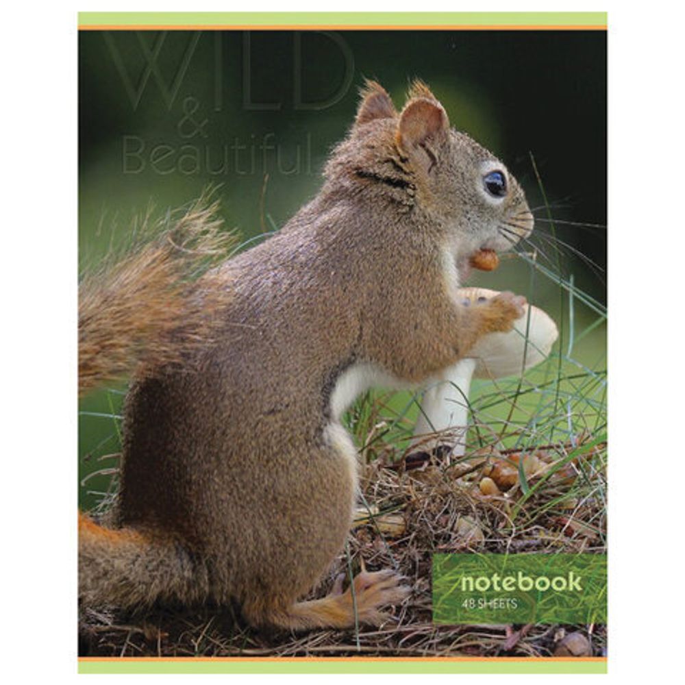 Тетрадь А5, 48 л., HATBER-ECO, скоба, офсет №2 ЭКОНОМ, клетка, обложка картон, "Авто", 48Т5D1