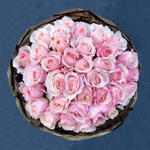 Кейра — букет английских роз Дэвида Остина