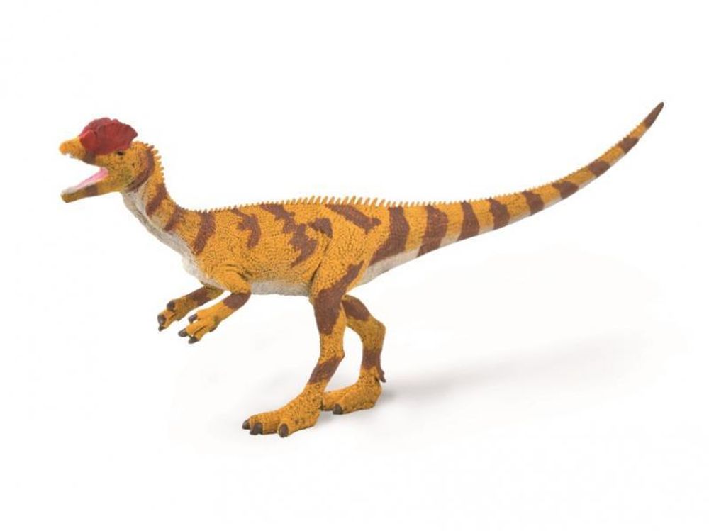 Динозавр Дилофозавр, L
