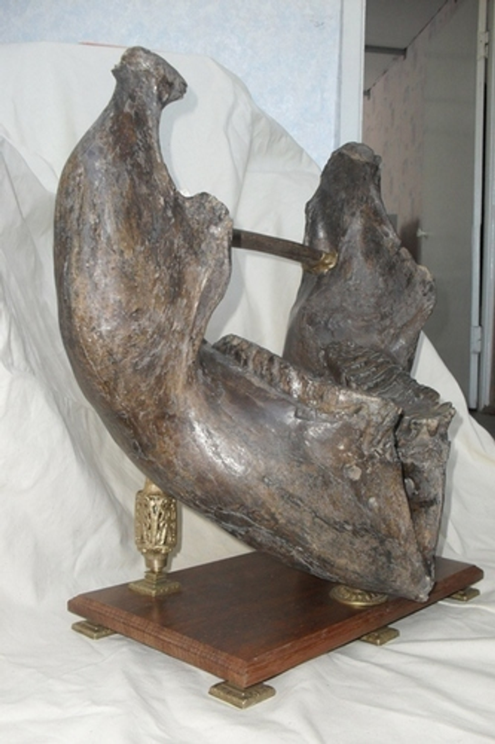 Челюсть мамонта (mammoth jaw)