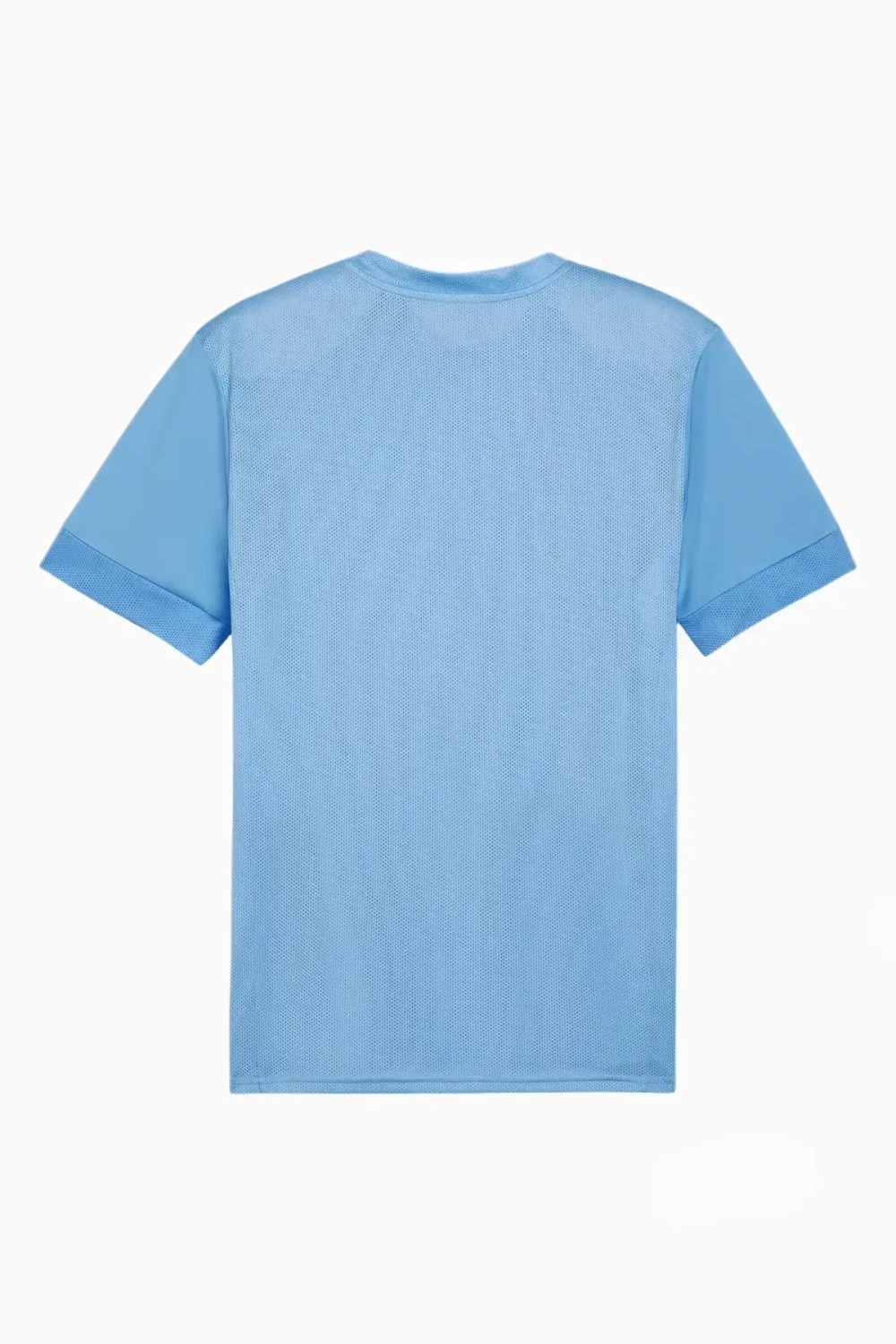 Футболка Puma teamGOAL Matchday - голубой