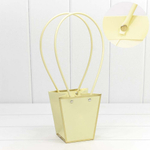 Пакет подарочный 12.5х12х8см Ваза для цветов с золотой рамкой (Бежевый)