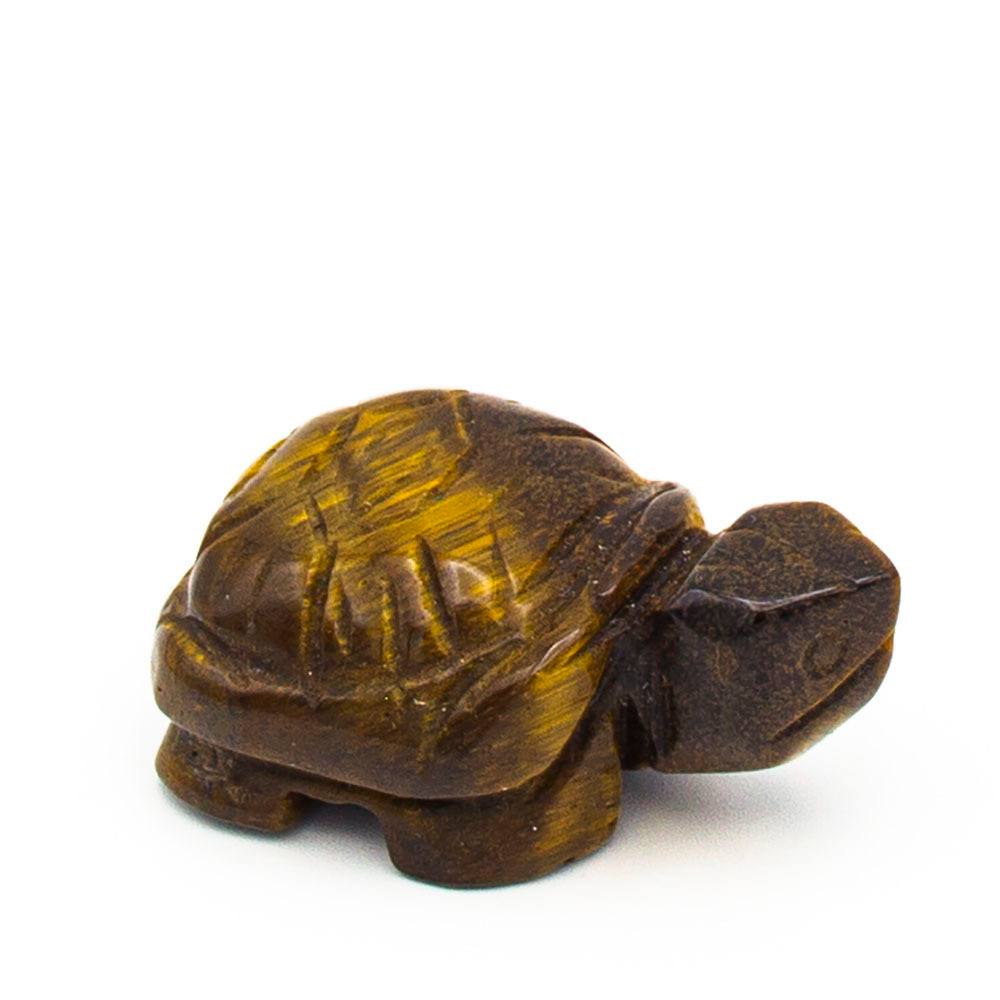 Черепаха тигровый глаз асс.