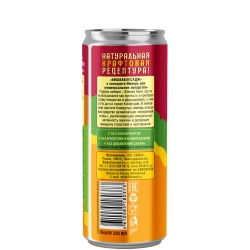 Имбирный эль ЭНЕРДЖИ Гранат+Лимонник+Гуарана 59NORTH, 330 мл, банка сзади