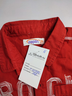 Рубашка Zeplin яркая на 2 года