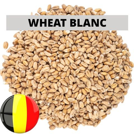 Солод Пшеничный (Wheat Blanc), 1 кг. Castle Malting