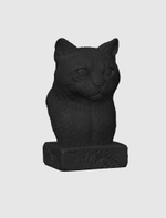 Бенгальская Кошка