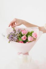 "Клубничный Фрезье мини"