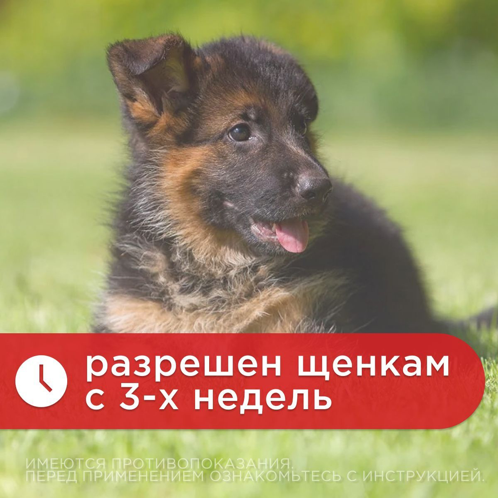 Таблетки от гельминтов Гельмимакс-10 для щенков и взрослых собак средних пород у 2 таблетки 120мг с ароматом курицы