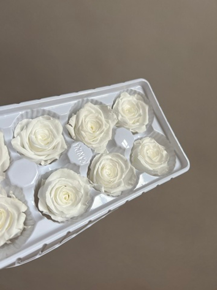 Роза классическая выбеленная d=4-5 см