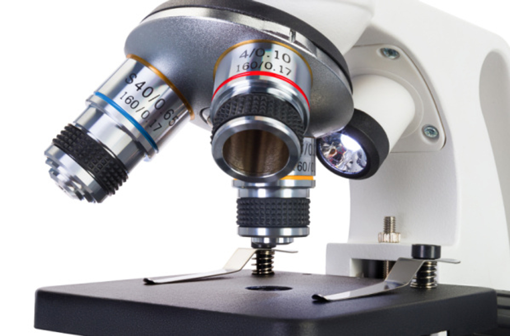Микроскоп Levenhuk Discovery Femto Polar
