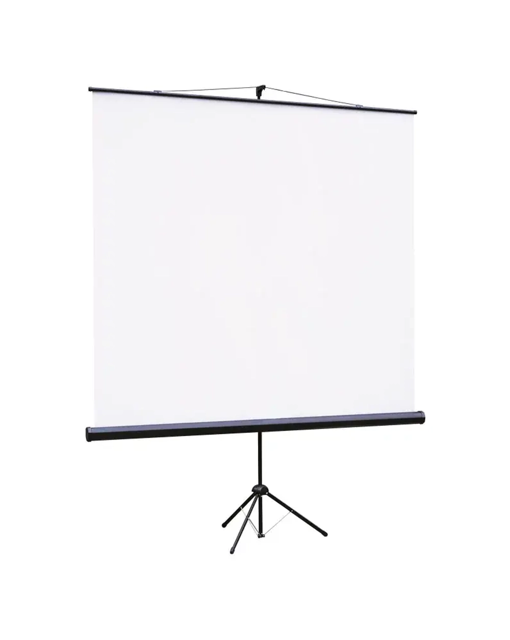 Экран на штативе Lumien 160x160 см (1:1) LEV-100105