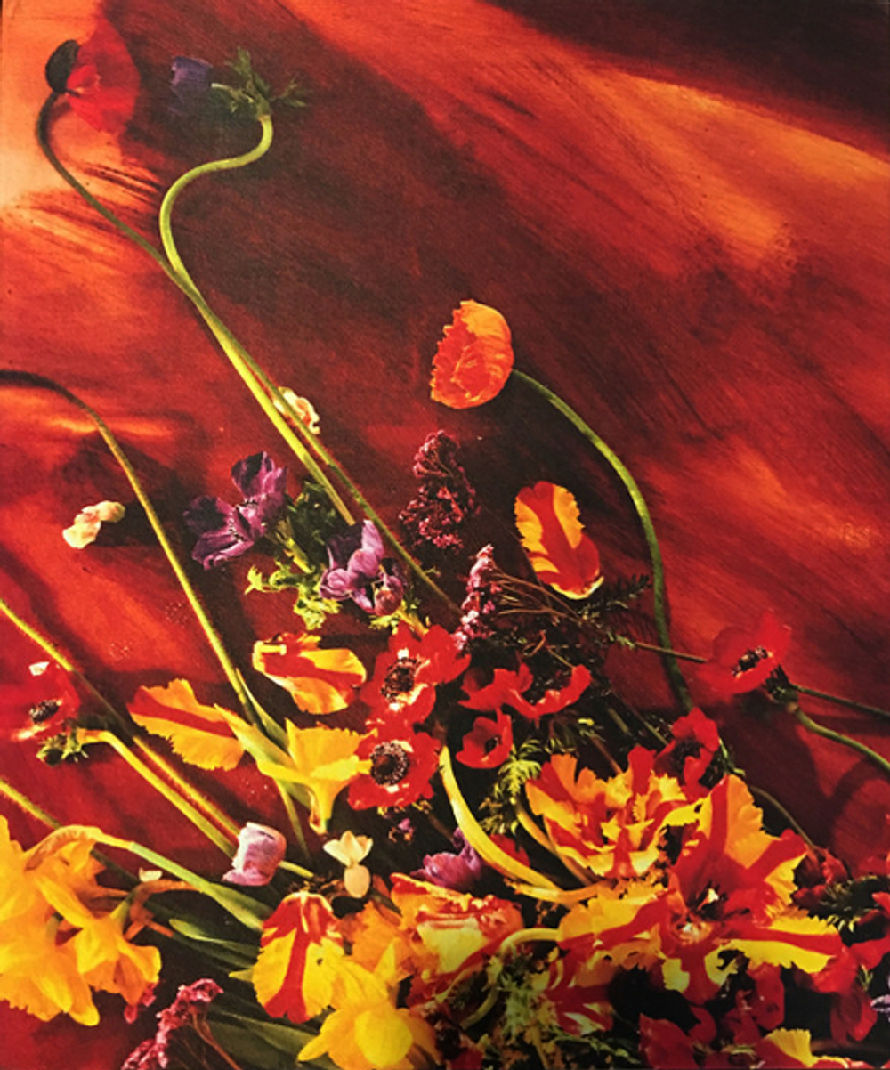 Paul McCartney / Flowers In The Dirt (Deluxe Edition)(3CD+DVD)