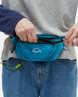 Поясная сумка Anteater Waistbag-RSt-Corsair