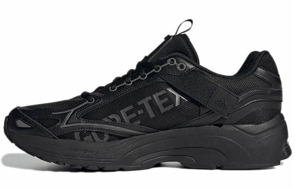 Кроссовки Adidas Spiritain 2000 Gtx