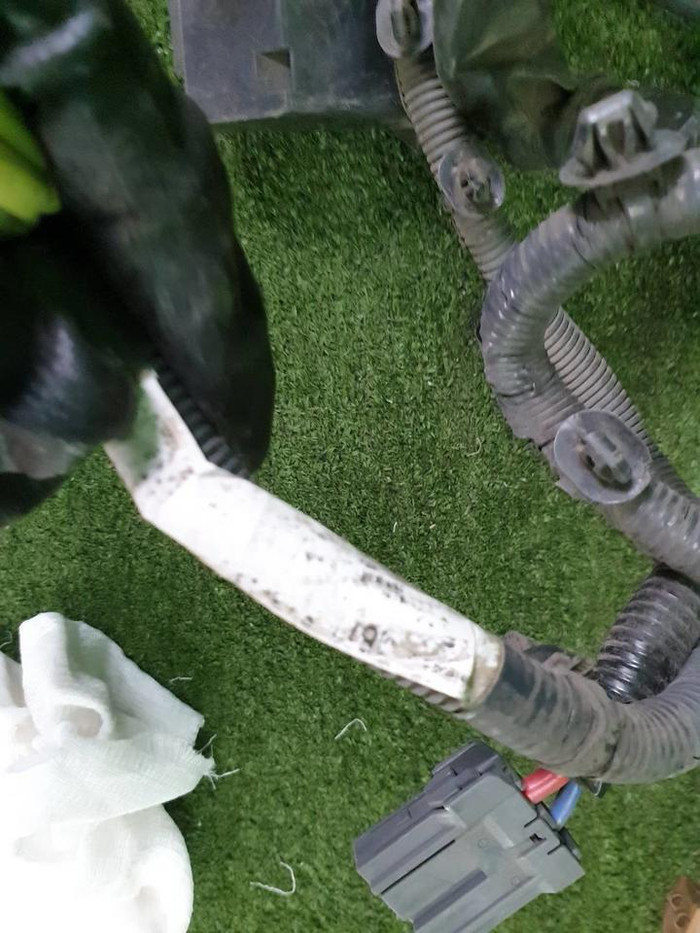 Проводка моторного отсека Infiniti G V36 (2006-2013)