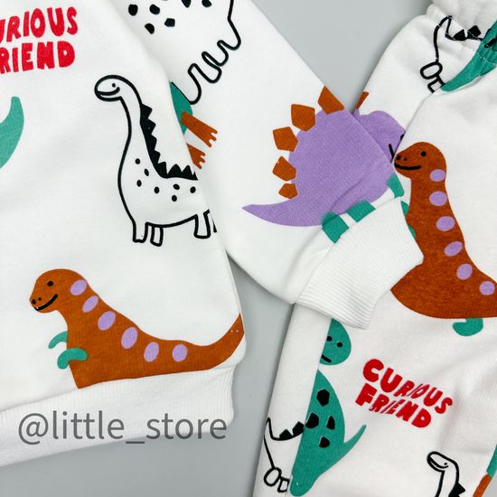 Комплект из футера "Динозавры"