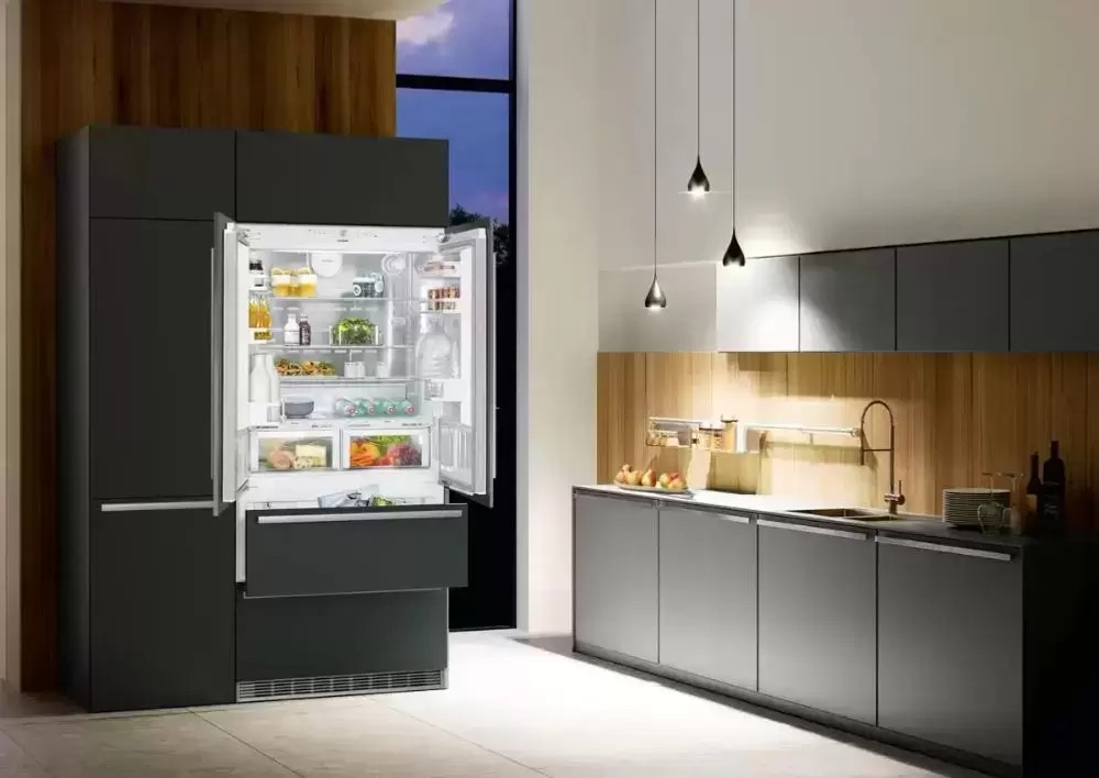 Встраиваемый холодильник Liebherr ECBN 6256 Premium Plus