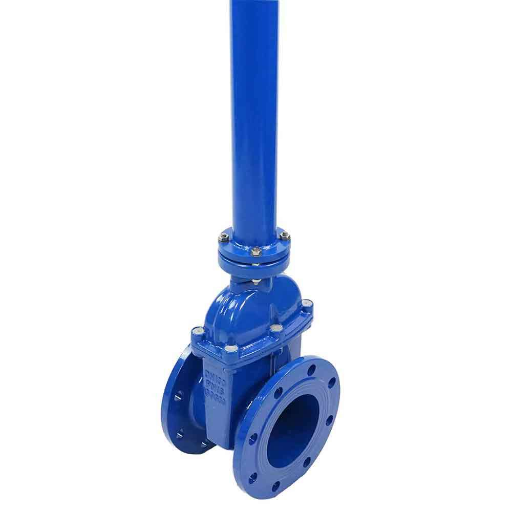 Wedge gate valve 30c939r blue Elephant-GGG50-EPDM-F4-BLUE PSI145 class 150 flange connection, with rubber lined wedge EPDM, control column L=2500 mm, electric actuator Elephant MT 110/220V