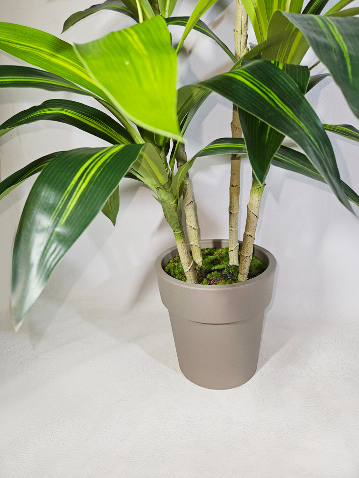 Искусственная драцена Рики 95см в стильном кашпо