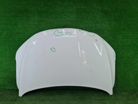 Капот Geely Coolray (2019-2023)