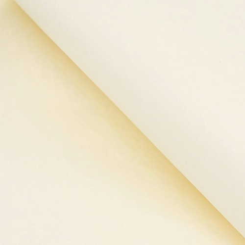 Бумага упаковочная тишью Крафтовая / листы 10 шт 50*66 см