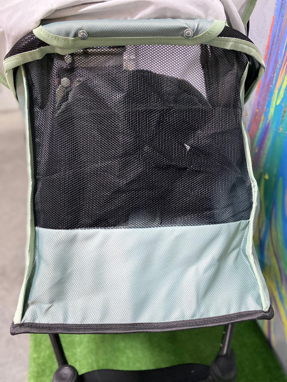 PITUSO Коляска 2 в1 CONFORT короб+прогулка Misty Mint/Plus