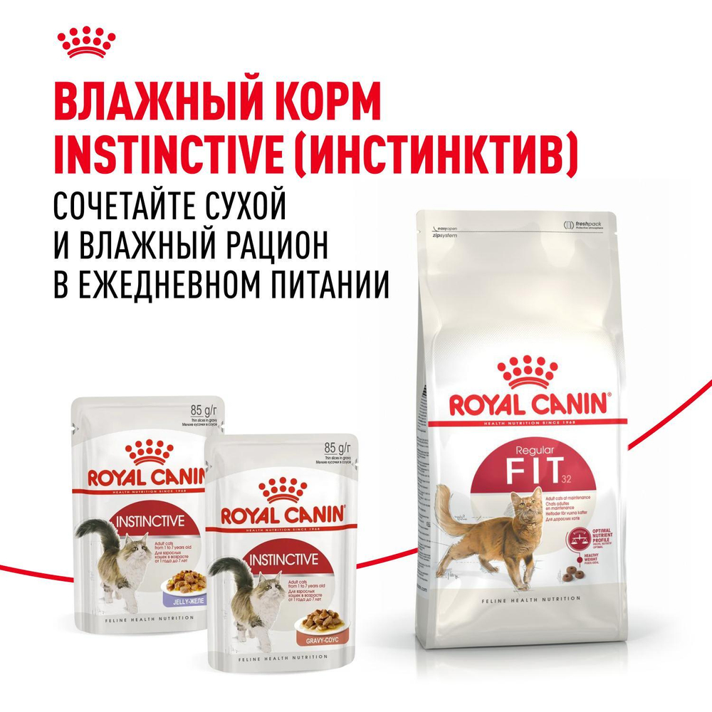 Royal Canin Fit 32 Корм сухой сбалансированный для взрослых умеренно активных кошек 2 кг