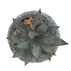 GAEM Цветочная композиция "Суккулент", L11 W11 H12 см