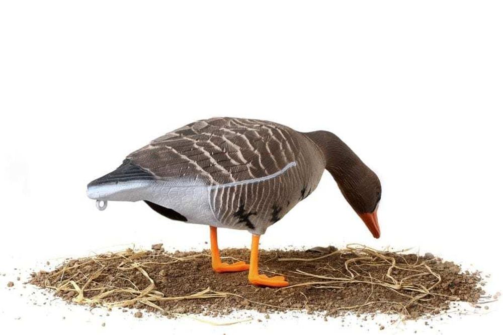 Комплект чучел Белолобый гусь (10шт) 3D "Softplast" B10S-3D