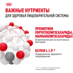 Royal Canin Medium Digestive Care Корм сухой для взрослых с чувствительным пищеварением 3 кг
