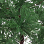 Ёлка «Королевская» 210 см резина (960 веток)