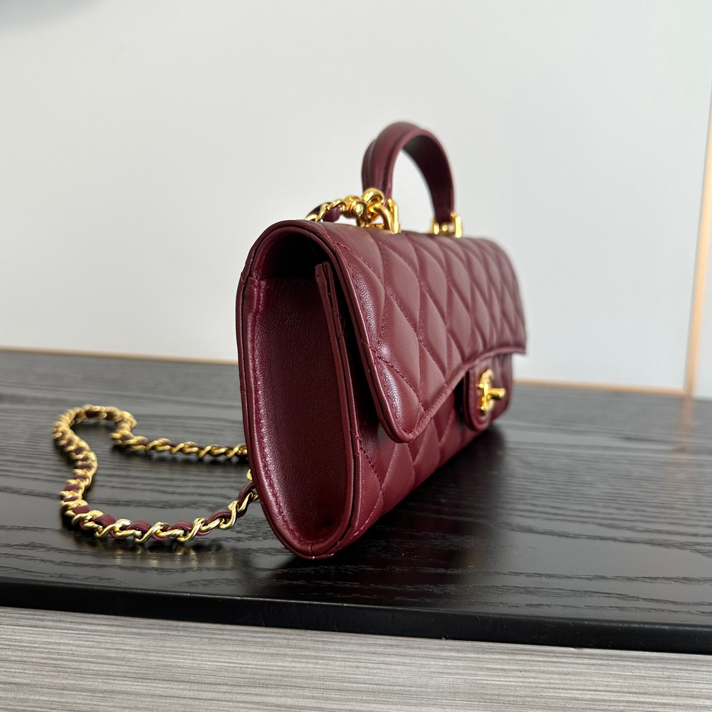 Chanel Bag 25 cm