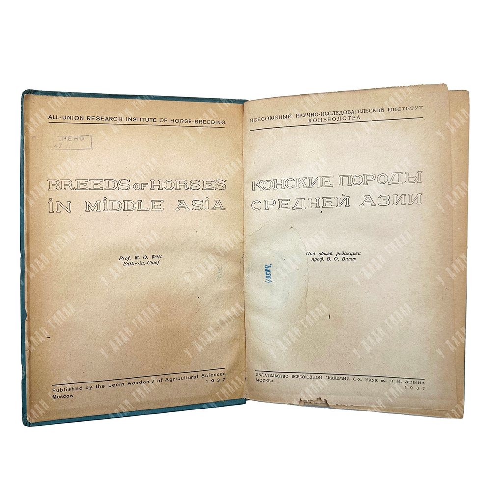 Конские породы Средней Азии / под ред. В. О. Витт. – М., 1937.