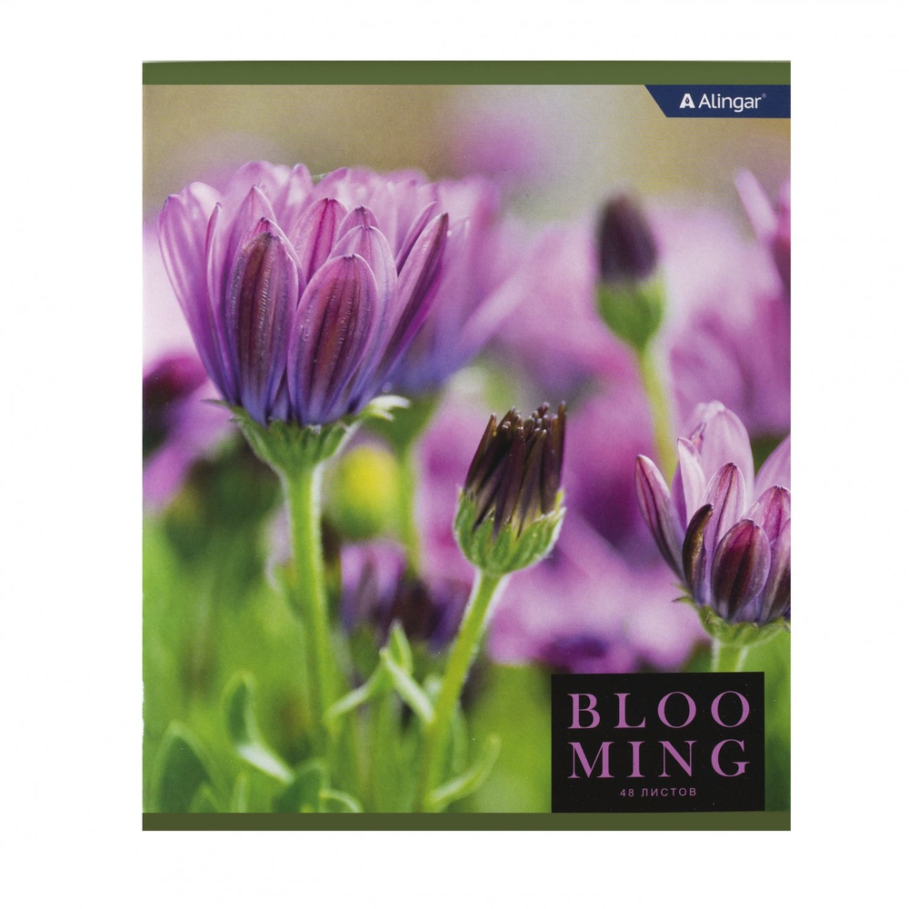 Тетрадь 48л., А5, клетка, Alingar "Blooming", скрепка, мелованный картон (стандарт), блок офсет, 4 дизайна в пленке т/у