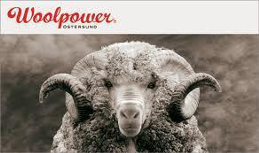 Свитер Woolpower с круглым воротом без молнии, плотность 200 г/м2, артикул 7112, цвет Серый