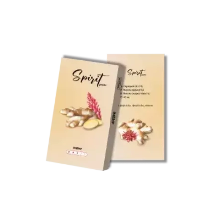 Spirit Gastro Ginger (40 g)