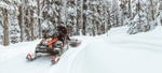 Снегоход BRP Ski-Doo Skandic SWT 900 ACE (2024)