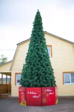 Уличная елка ствольная "Альпийская сосна" (леска) 22 м